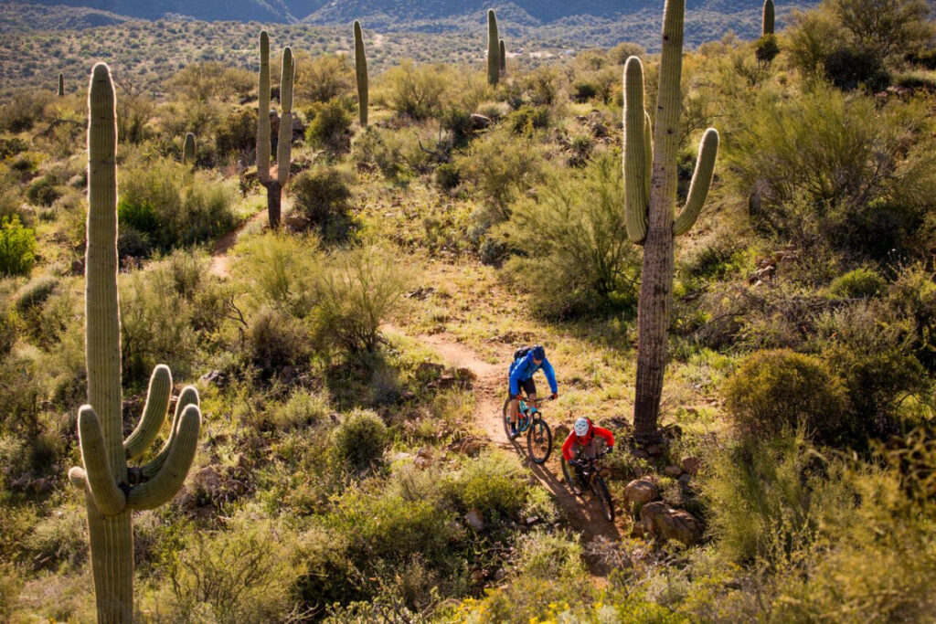 Mountain bike tours in Todos Santos with Omega Tours