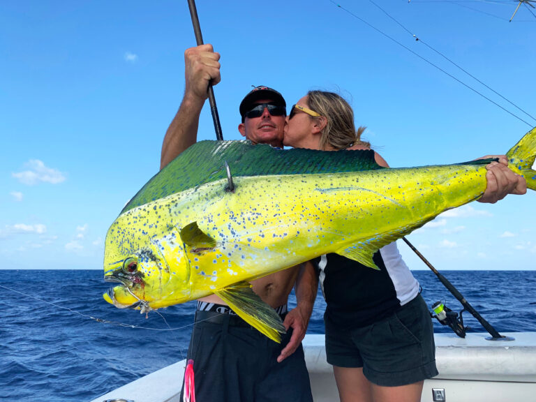 mahi dorado dolphin
