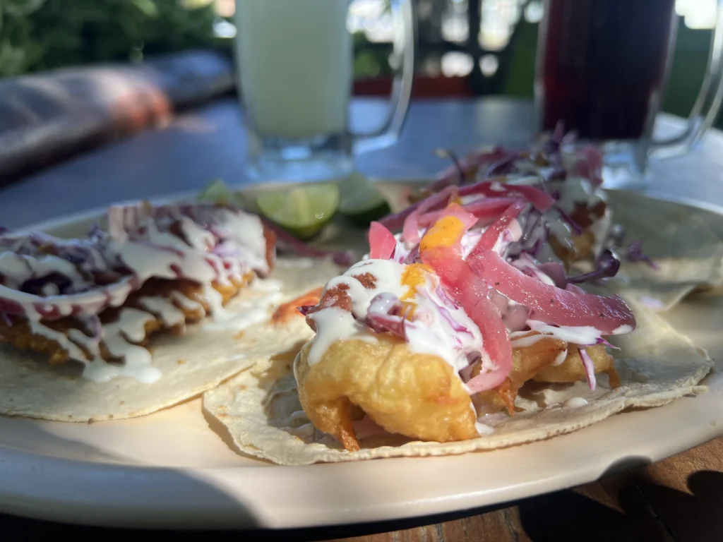 Taco tour in Todos Santos with Omega Tours