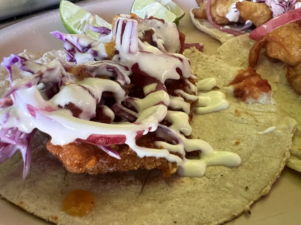tacotours5