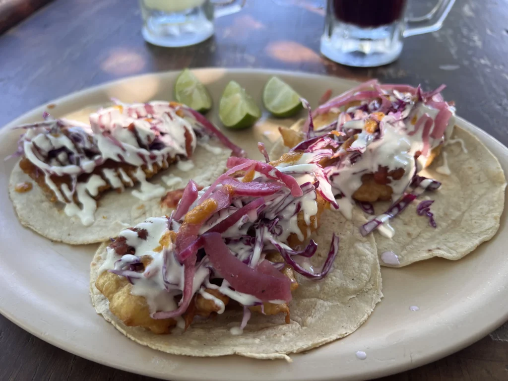 tacotours7