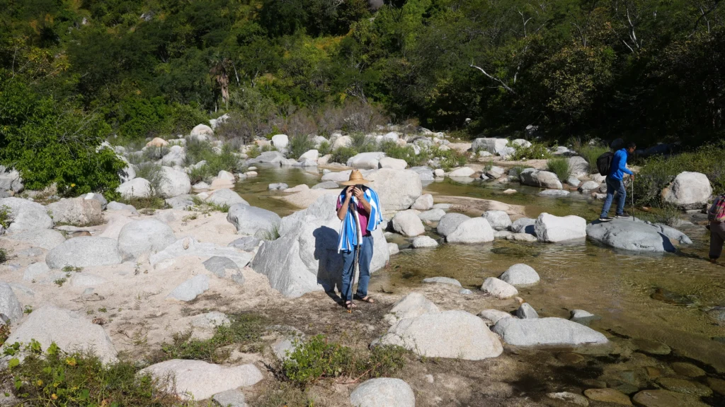 Sierra Waterfalls Hike with Omega Tours